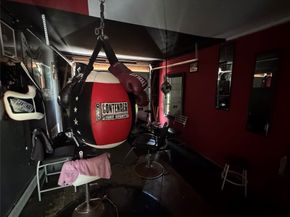 5951 Willow Glen Drive, Houston TX 77033