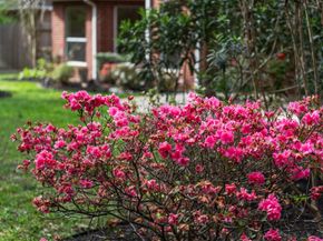 8324 Emerald Meadow Lane, Humble TX 77396