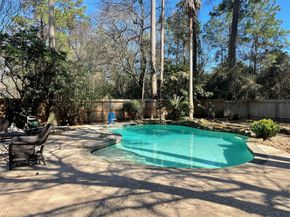 18 Teak Mill Place, The Woodlands TX 77382