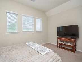 1603 Pecan Branch Drive, Richmond TX 77406