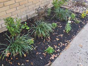 8130 Sunny Ridge Drive, Houston TX 77095