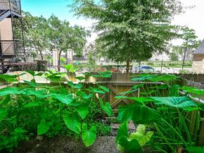 4515 Briar Hollow Place 112, Houston TX 77027