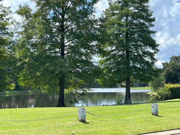 3 N Mossrock Road, The Woodlands TX 77380