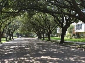 13050 Trail Hollow Drive, Houston TX 77079