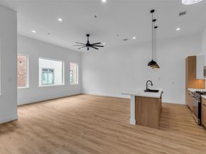 3407 Hutchins Street, Houston TX 77004