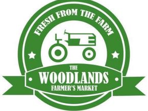 56 N Morningwood Court, Spring TX 77380