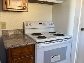 1515 Sandy Springs Road 2002, Houston TX 77042