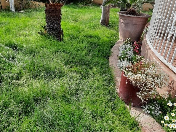 10701 Doty Ave, Inglewood CA 90303