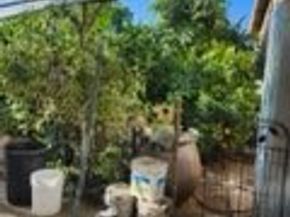 1238 E 100th, Los Angeles CA 90002