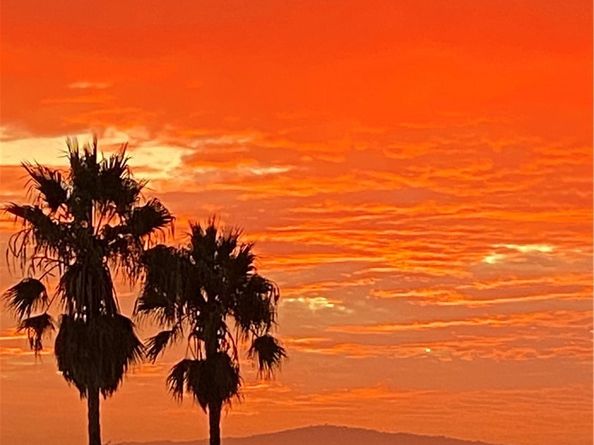 11 67th Place, Long Beach CA 90803