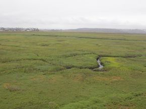 1365 Seacoast Dr E, Imperial Beach CA 91932