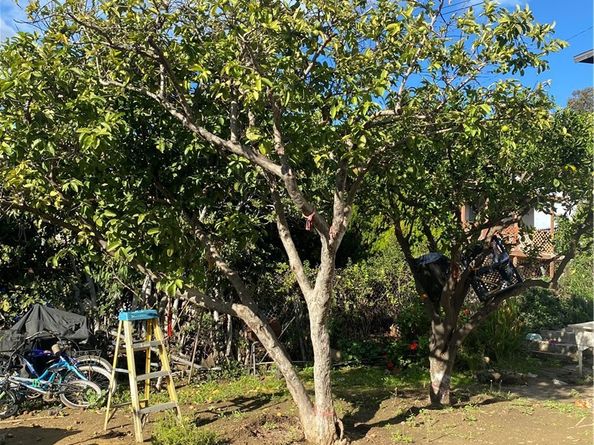 1129 N Alma Avenue, Los Angeles CA 90063