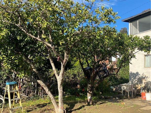 1129 N Alma Avenue, Los Angeles CA 90063