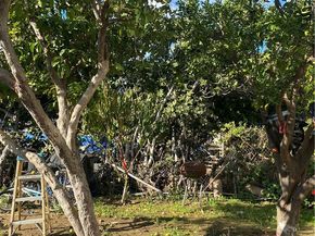 1129 N Alma Avenue, Los Angeles CA 90063