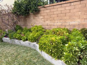 7523 Wellington, Rancho Cucamonga CA 91730