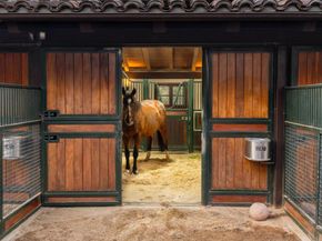 Undisclosed Address #NDP2600364, Encinitas CA 92024