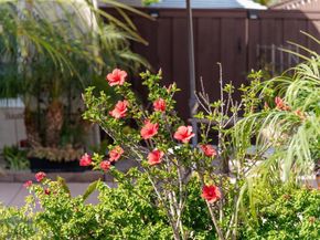 3732 Via Cabrillo, Oceanside CA 92056