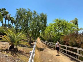 3226 Violet, Encinitas CA 92024