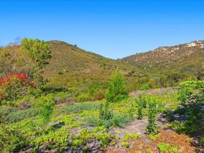 1827 Congressional, Escondido CA 92026