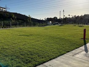 2513 Delphinium Lane, Carlsbad CA 92008