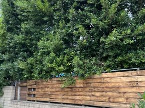 7231 Vanalden Avenue, Reseda CA 91335