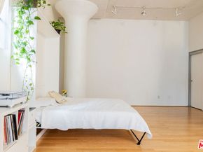 420 S San Pedro Street 231, Los Angeles CA 90013