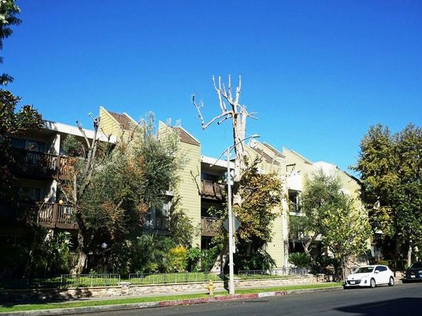 525 S Ardmore Avenue 229, Los Angeles CA 90020
