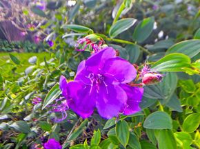 3039 Dumas Street, San Diego CA 92106