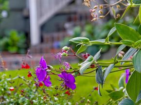 3039 Dumas Street, San Diego CA 92106