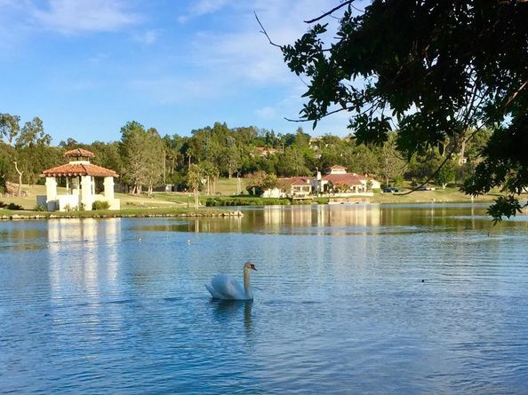 17177 Calle Serena, Rancho Santa Fe CA 92067