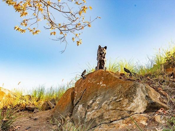 2451 Country View Gln, Escondido CA 92026