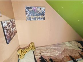 4220 La Pinata Way 236, Oceanside CA 92057