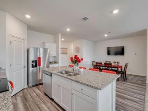 14601 Shooter Mc Gavin DR, Manor TX 78653