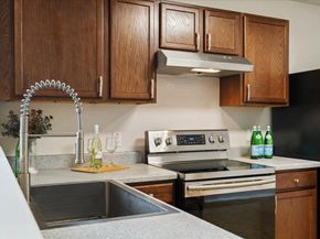 11225 Autumn Ash DR, Manchaca TX 78652