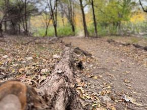 8200 Neely DR 219, Austin TX 78759