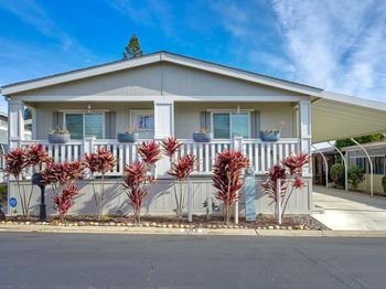 525 W El Norte Parkway