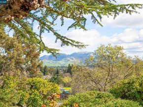 2081 Essenay Ave, Walnut Creek CA 94597