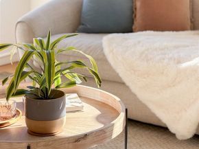 747 Albemarle St, El Cerrito CA 94530