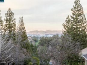 53 Paso Nogal Ct, Pleasant Hill CA 94553