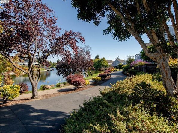 158 Oak Park Dr, Alameda CA 94502