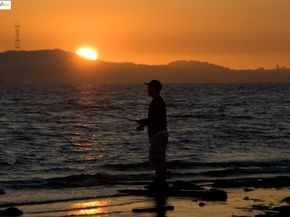 109 Cypress St. C, Alameda CA 94501