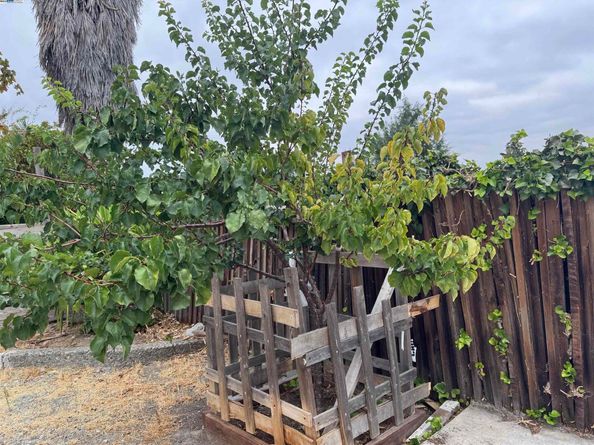 1241 Raymond Dr, Pacheco CA 94553
