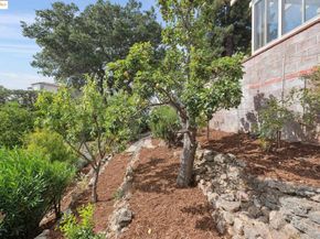 4275 Fruitvale Ave, Oakland CA 94062