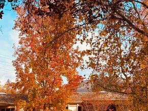 3465 Tice Creek Dr 4, Walnut Creek CA 94595