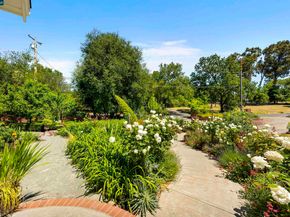 177 Oak Road, Alamo CA 94507
