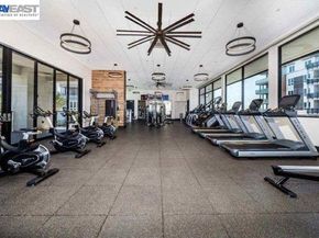 2339 Kinetic Cmn 310, Fremont CA 94539