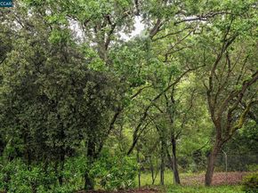 1840 Tice Creek Dr 2236, Walnut Creek CA 94595