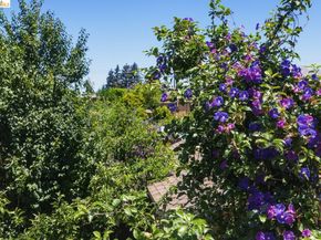 1116 E 20Th St, Oakland CA 94606