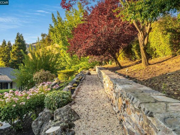 51 Brightwood Cir, Danville CA 94506