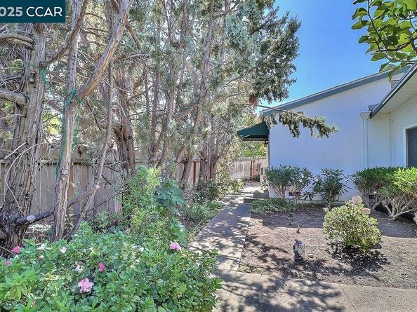 2465 Buena Vista Ave, Walnut Creek CA 94597